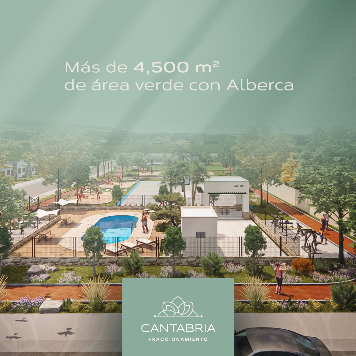NI AREA SOCIAL